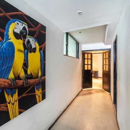 Hotel Elegant Suite Bogotá Eksteriør billede